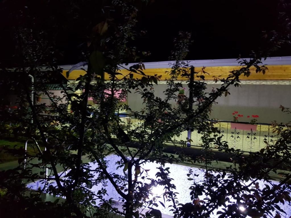 Виллы Villa in Qabala Габала