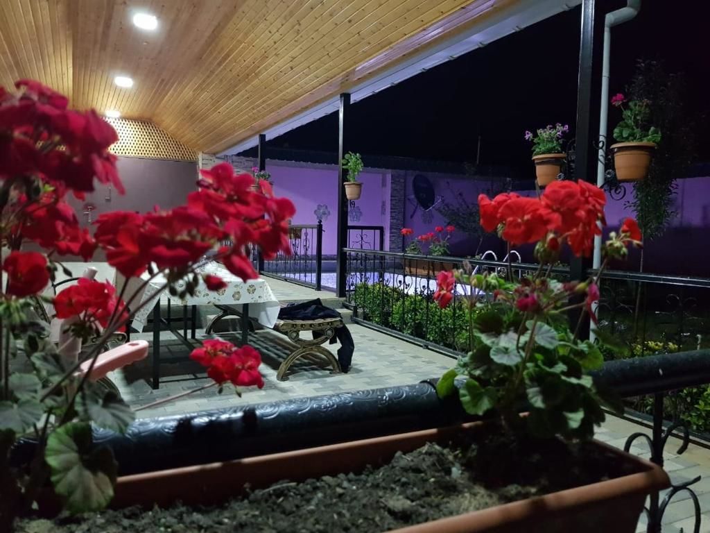 Виллы Villa in Qabala Габала